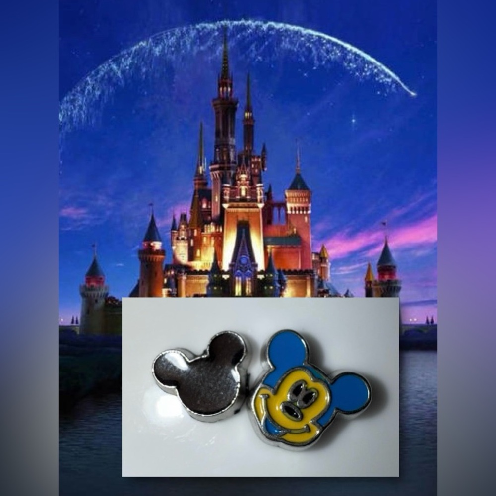 $2 CHARACTER FLOATING CHARM~NEW~$2 WITH ANY $10 ORDER OR MORE - Picture 1 of 16